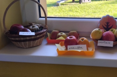 23. 10. Jablíčkový týden