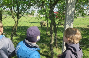 26.4. Výuka v přírodě