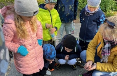 3. 10. Výuka v přírodě